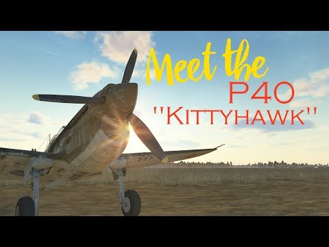 Видео: Встречайте! Curtiss P40 "Kittyhawk"