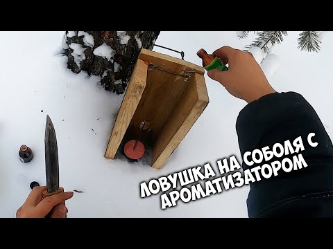 Видео: Ставим кулемки на соболя с ароматизатором