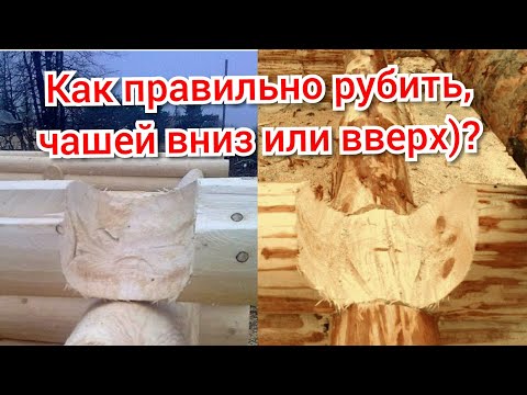 Видео: Зачем ВСЕ РУБЯТ ЧАШЕЙ ВНИЗ? В чем подвох.