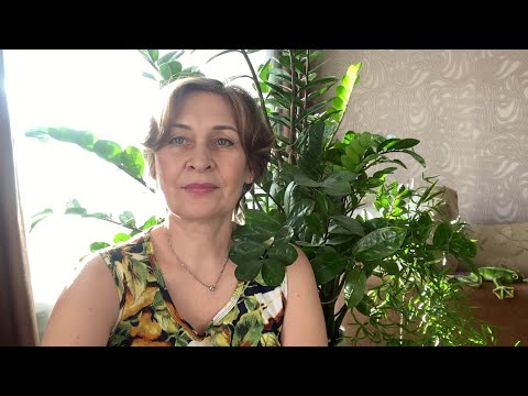 Видео: Мои комнатные цветы, их не много, но я их люблю.