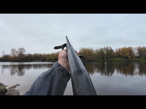 Видео: ОХОТА НА УТКУ С ПОДХОДА. СТАИ СОБИРАЮСЯ НА ЮГ. СЕВЕРНАЯ НАЧИНАЕТ ДВИЖЕНИЕ.