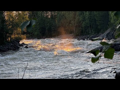 Видео: Рыбалка, Жара и отдых на Визиярви 2024 Часть первая