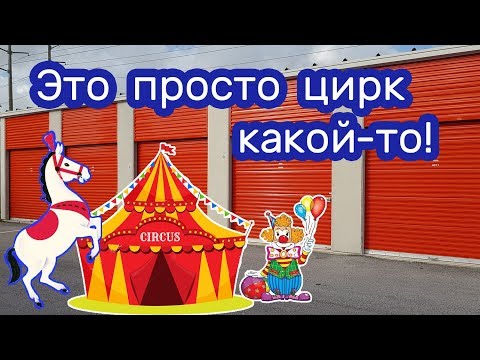 Видео: Лошади и лошадиные  бега. Находка в контейнере.