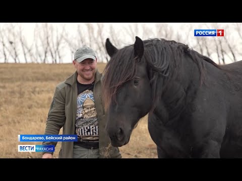 Видео: Семейный подряд