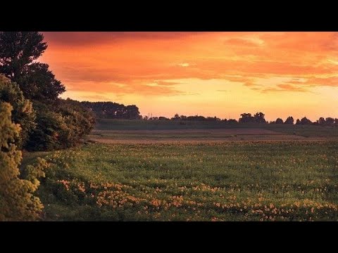 Видео: Свидетельство О Смерти - Когда Погаснет Солнце[slowed + reverb] [doomer wave]