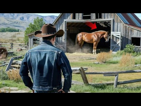 Видео: Мужчина Купил Ранчо За $1… Пока Лошадь, Жившая Там, Не Изменила Его Жизнь