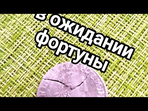 Видео: Не самый "черный день" для копателя.