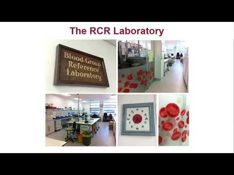 Видео: Шейн Гримслей. Идентификация антител в сложных случаях