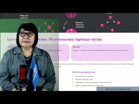 Видео: 6 Коллоидтық химия Бутенова А.К. оқытушы - дәріскер
