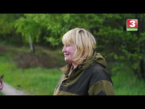 Видео: Я хочу это увидеть! Каменец и район. 2020