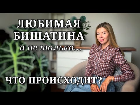 Видео: Что не так в моей жизни 🤷‍♀️ ЛЮБИМОЕ от БИША и другие парф.впечатления