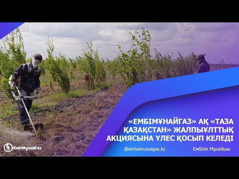 Видео: «Ембімұнайгаз» АҚ «Таза Қазақстан» жалпыұлттық акциясына үлес қосып келеді