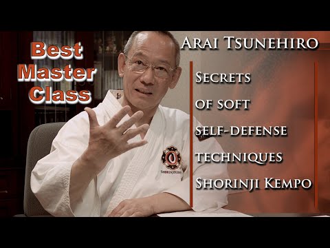 Видео: Анализ техник (гохо, дзюхо) Сёриндзи Кэмпо. Мастер-класс сэнсэя Араи. Техники бокса Шаолиньского ...