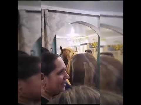 Видео: Рождество справляет о Артур зубари тавэл радости счастья благополучия на 100 лет