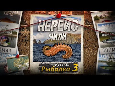 Видео: "Мутант" Нереис. Морской Червь. Побережье Чили. Русская Рыбалка 3.