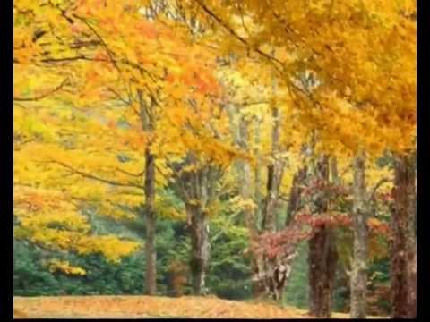 Видео: ВАЛЕРИЯ--ОСЕНИ ДЫМ