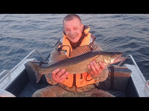 Видео: Автопутешествие в Карелию. Ловля Судака на троллинг. Рыбалка на Сямозеро.