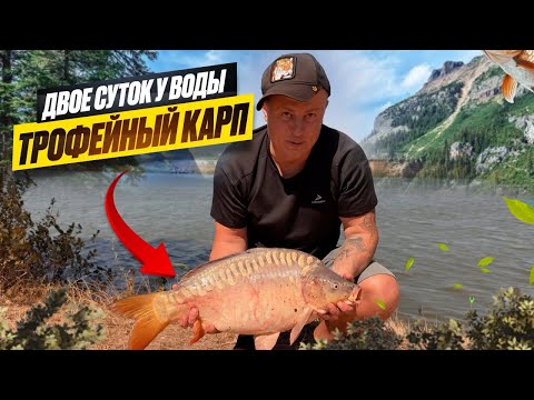 Видео: ТРОФЕЙНАЯ РЫБА, ОБЖИГАЕМ КАЗАН И ГОТОВИМ ХАШЛАМУ НА БЕРЕГУ