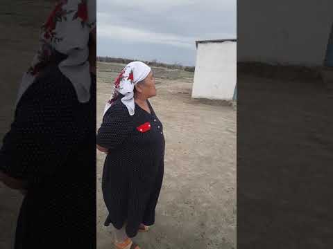 Видео: Суттіқұдықта 7баланы асыраймын деп мал бағып кеткен .Қараусыз қалған 7бала