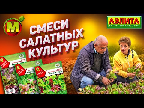 Видео: САЛАТНЫЕ СМЕСИ В ОТКРЫТОМ ГРУНТЕ