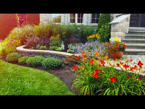 Видео: Творческий дизайн сада Идеи для воплощения / Creative garden design Best ideas to implement
