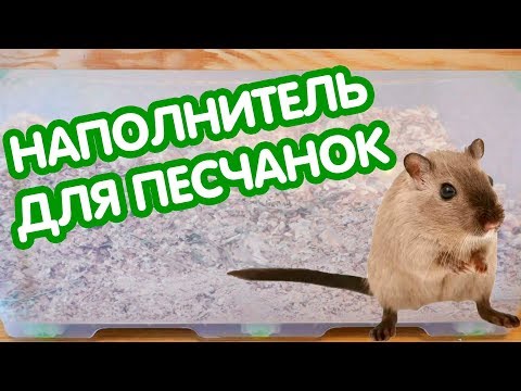 Видео: Наполнитель для песчанок. Какой лучше?