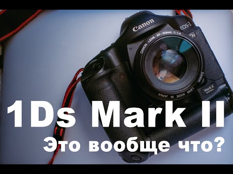 Видео: Canon 1Ds Mk II. Сокровище предков или кал мамонта?