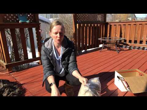 Видео: Пух прислала Оксана.