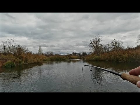 Видео: Я её ждал и она клюнула. Рыбалка на воблеры и джиг в конце октября.