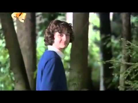 Видео: Осколки
