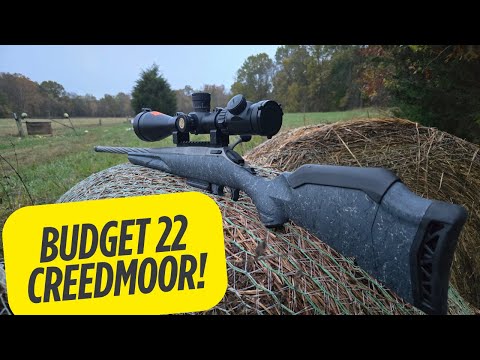 Видео: 500 долларов! Ruger .22 Creedmoor. Стоит ли точность того?