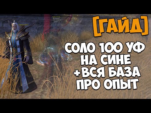Видео: СОЛО 100 УФ НА СИНЕ ИЛИ КАК БЫСТРО АПНУТЬ 315 УРОВЕНЬ В Perfect World | PW 2025 BarBQshka
