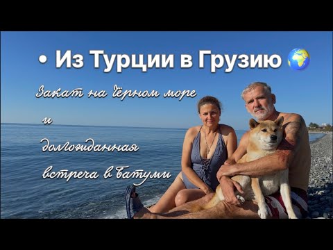 Видео: Проходим границу. Встреча с семьёй в Батуми #travelwithdog #путешествиенамашине 
