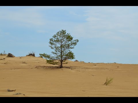 Видео: Hiking Golubinskie Sands and Surroundings Голубинские пески и окрестности