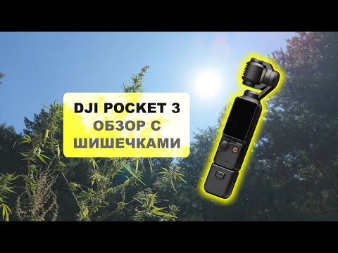 Видео: Обзор DJI Osmo Pocket 3 (с шишечками)