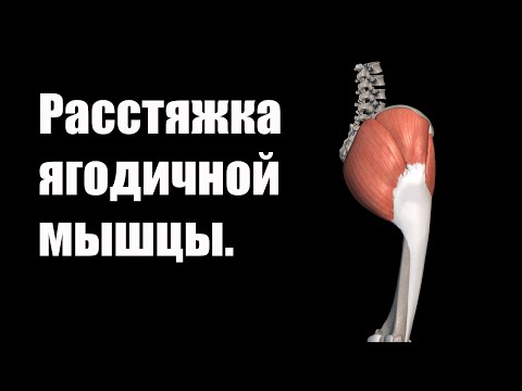 Видео: Легкий способ растянуть ягодичные мышцы.