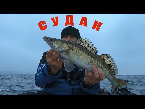 Видео: ОСЕННИЙ СУДАК. КИЕВСКОЕ ВОДОХРАНИЛИЩЕ. осень 2020.