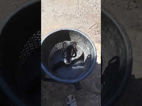 Видео: Гарбузовий вишкрибатор  @