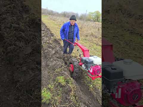 Видео: Мотоблок Беларус МТЗ. Пахота в ноябре.