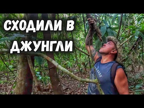 Видео: Советы по "выживанию" в амазонских джунглях. Бразилия на велосипеде ✓112