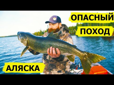 Видео: Аляска. Опасный поход. В борьбе за выживание/Dropped (Охотник и рыболов)