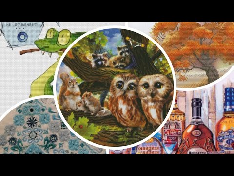 Видео: Финиш участка в Совушках! Продвижения. Соляные пещеры!