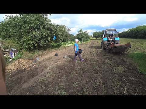Видео: Начали копать картофель у бабушки После чего с мололи муку (25-Серия 4-Сезон)