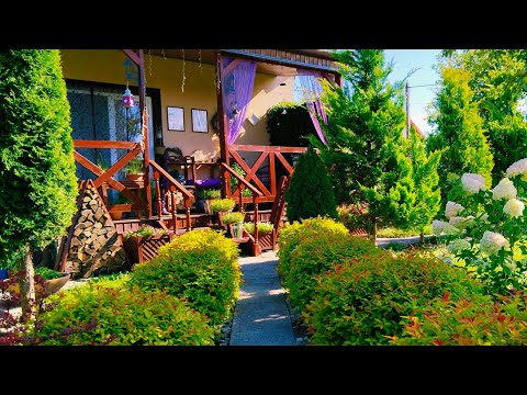 Видео: Наш Осенний Сад 2025💚 Сад построенный на интуиции #garden #сад #дача 