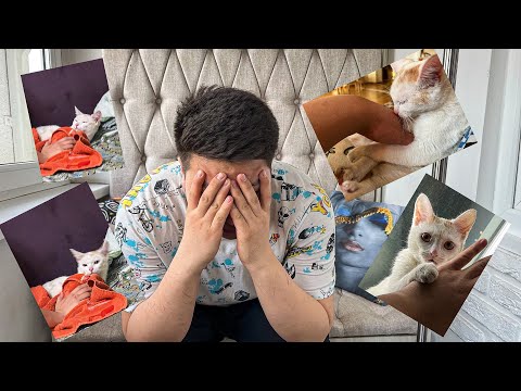 Видео: МЫСЫҒЫМ ӨЛЕЙІН ДЕП ЖАТЫР...