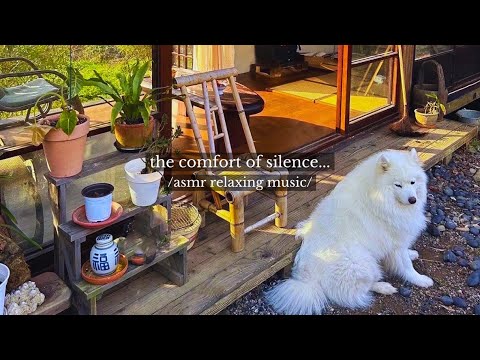Видео: уют тишины... - /плейлист с расслабляющей музыкой asmr/