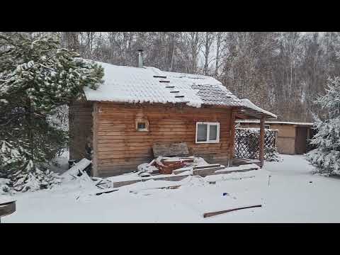 Видео: Почти зима. Сад-огород в ноябре. Видео с веранды