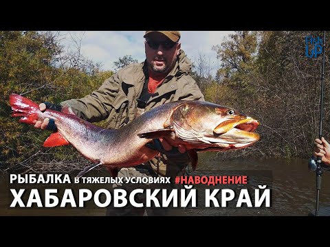 Видео: ХАБАРОВСКИЙ КРАЙ. РЫБАЛКА. | Khabarovsk russian fishing taimen