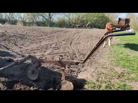 Видео: Посадка картоплі за допомогою коня.@Коні Черкащини