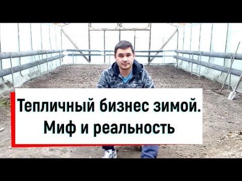 Видео: Отапливаемые теплицы зимой. Что возможно вырастить и на чем можно заработать.